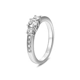 Tricillo Pavé